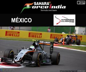 yapboz Sergio Perez, 2016 Meksika Grand Prix